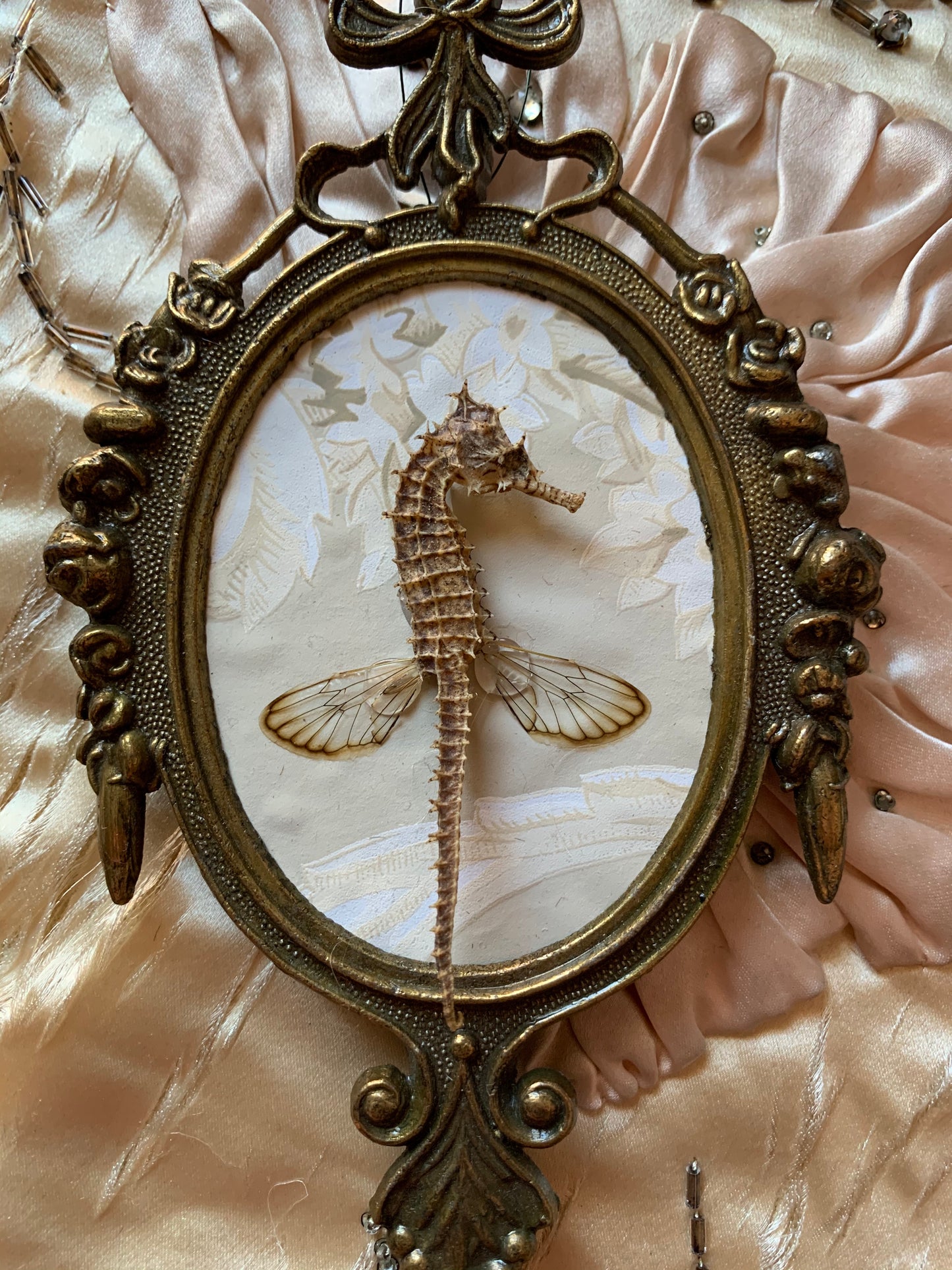 Assembled frame seahorse specimen