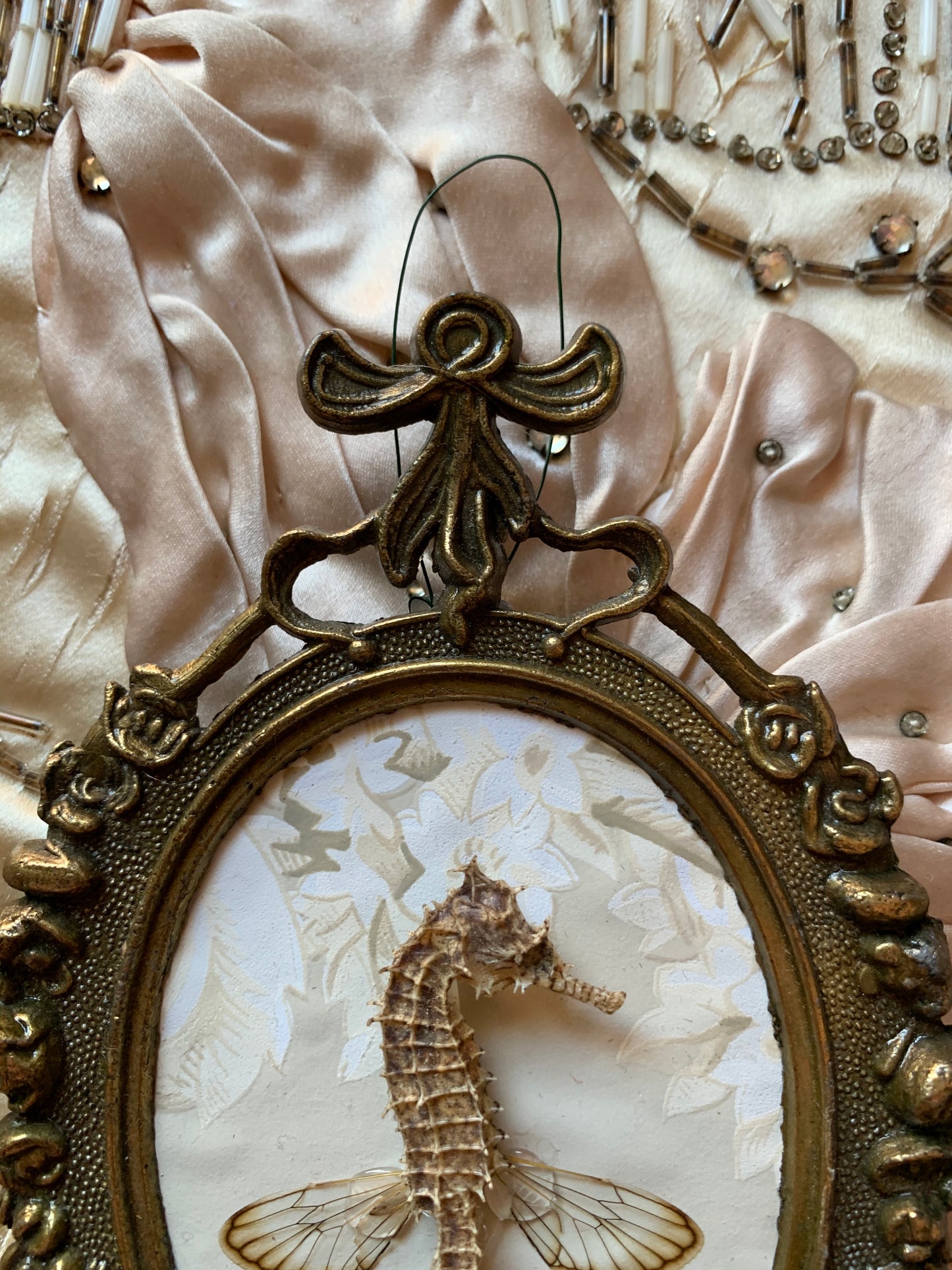 Assembled frame seahorse specimen