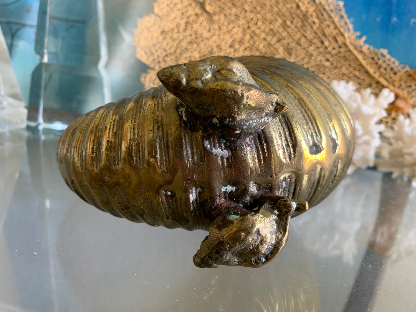 Vintage brass nautilus seashell small footed planter