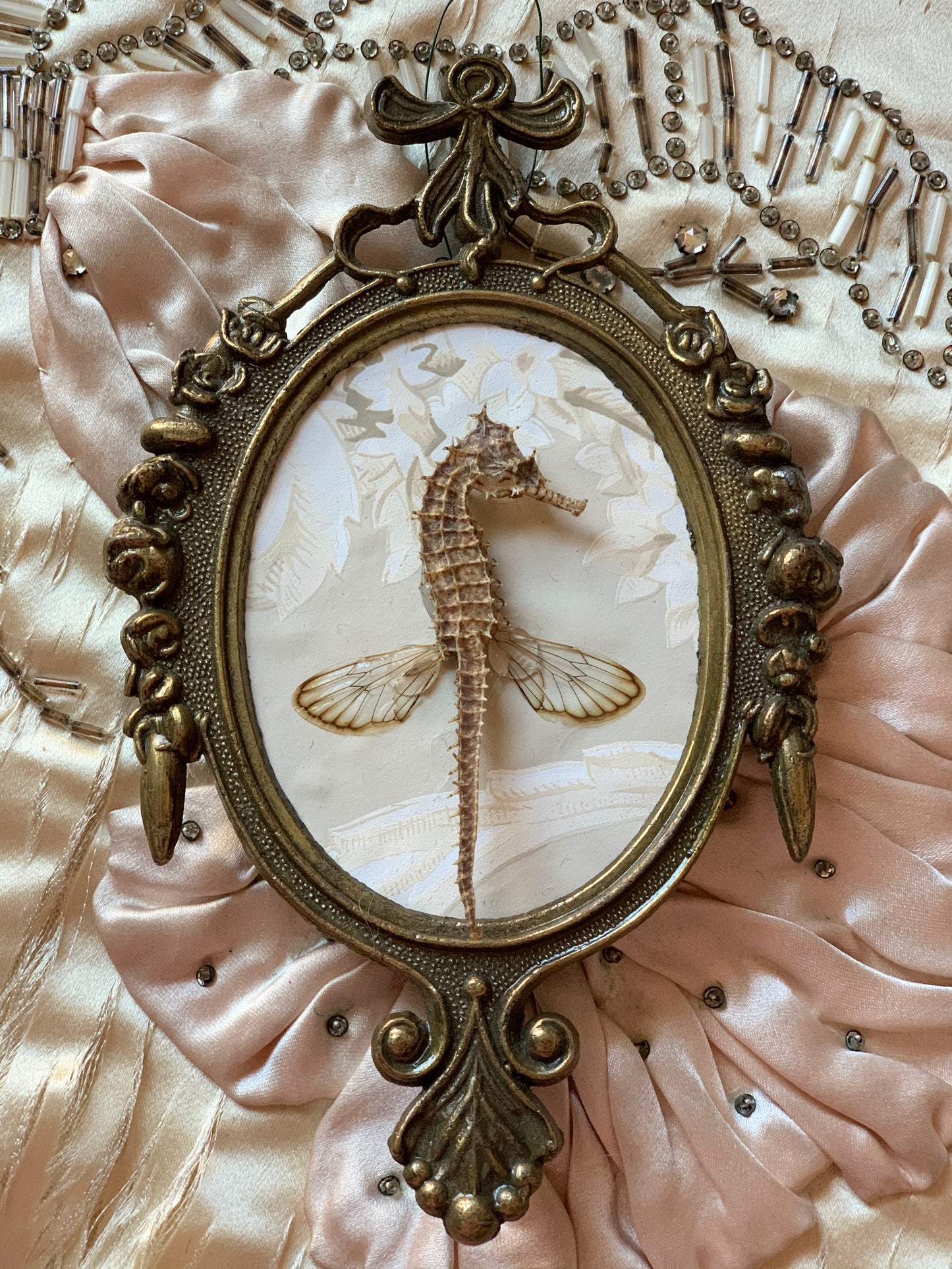Assembled frame seahorse specimen