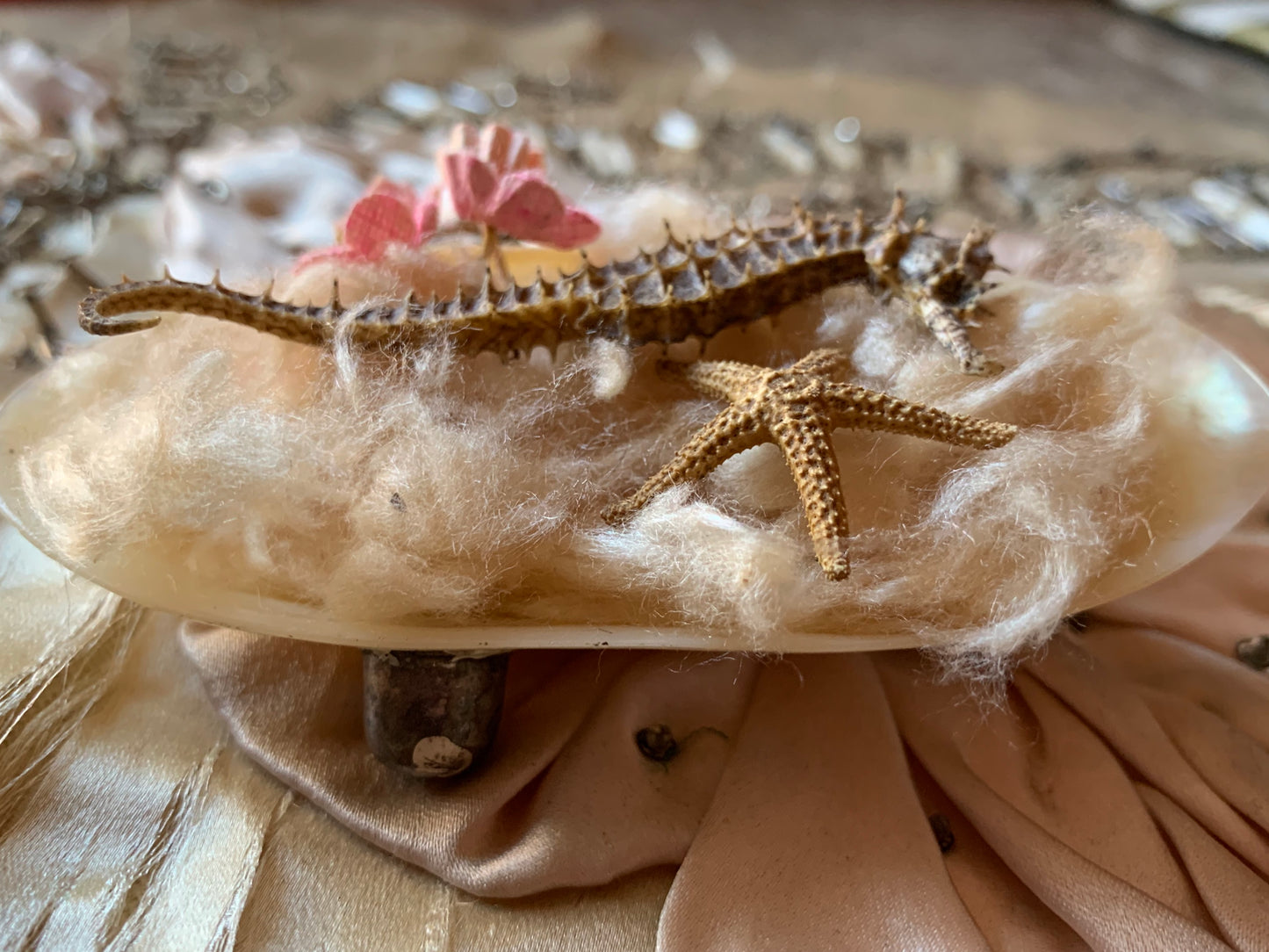 Assembled mini seahorse display