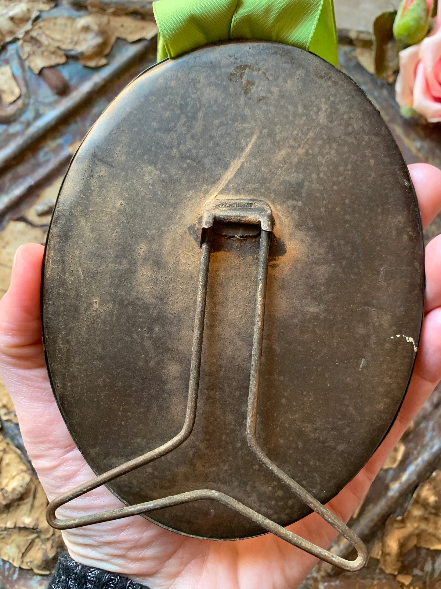 Framed cicada specimen