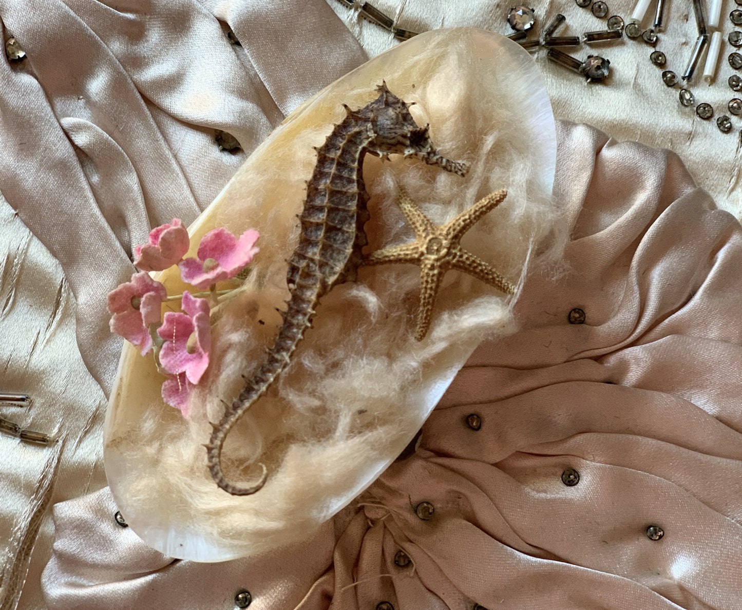 Assembled mini seahorse display