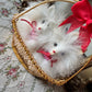 Vintage Japan miniature dogs in basket doll pomeranian puppies