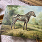 Vintage painting zebra wild animal signed framed art