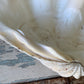 Large real clam shell