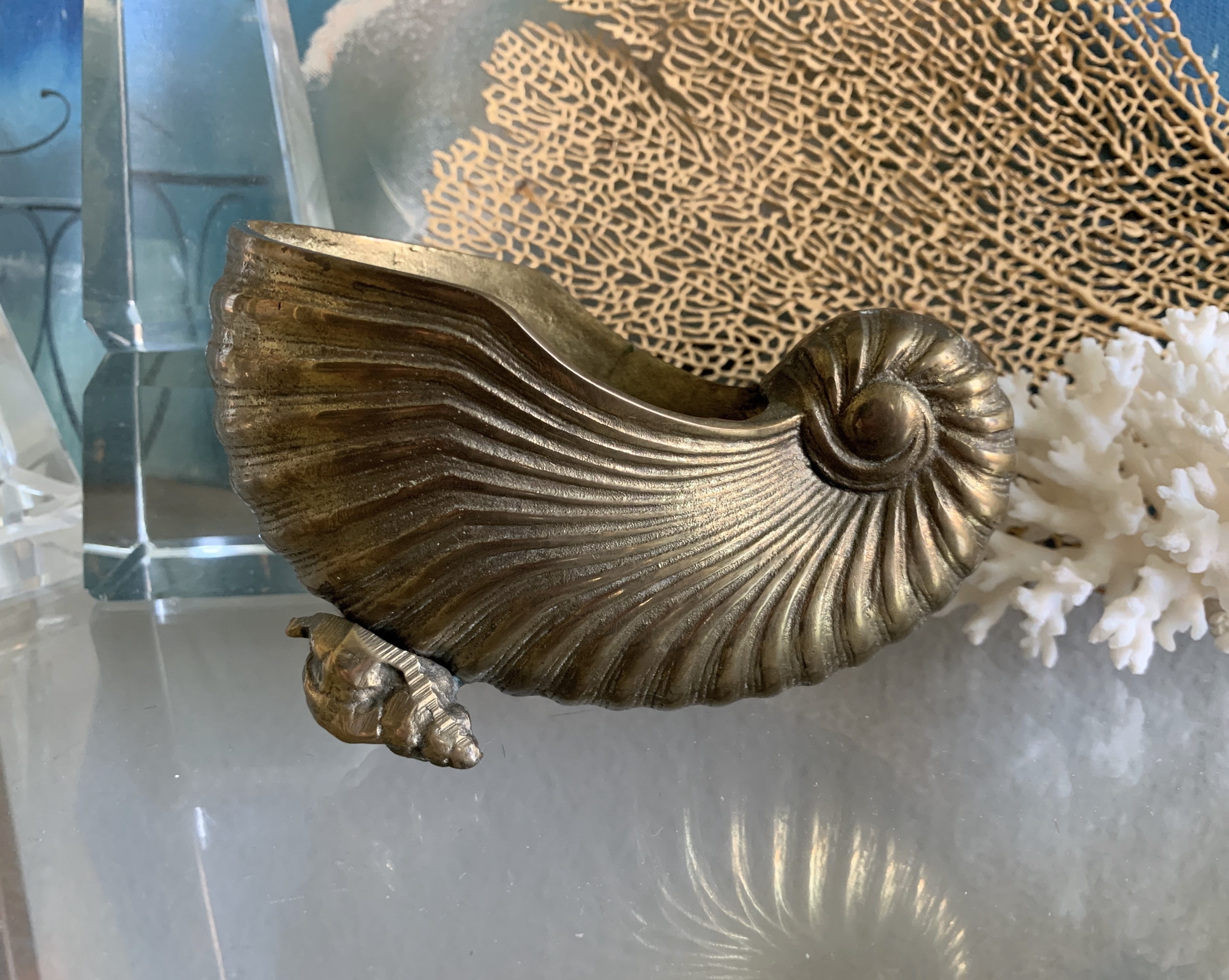 Cambridge Seashell Nautilus footed orders vase