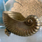 Vintage brass nautilus seashell small footed planter