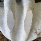 Large real clam shell