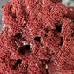 Real coral shell large red pipe seashell nature specimen