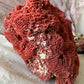 Real coral shell large red pipe seashell nature specimen