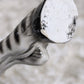 Vintage Italian zebra statue
