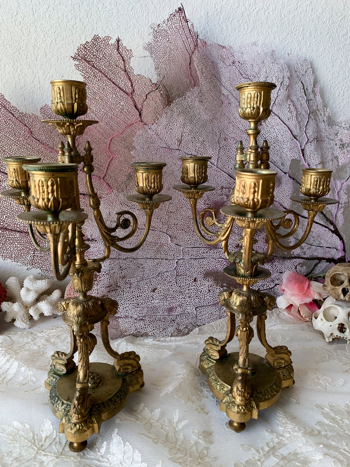 Antique pair candelabra ornate bronze ram head figural candlesticks